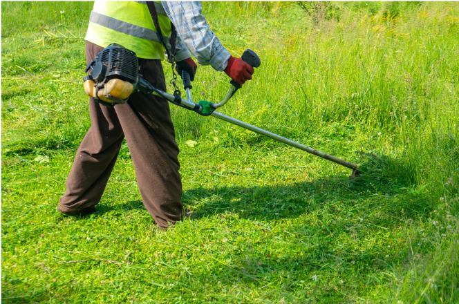 Photo of a person using a strimmer to cut long grass
