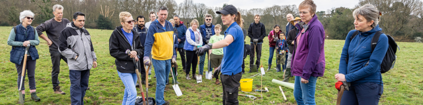 Covid Memorial Woodland planting