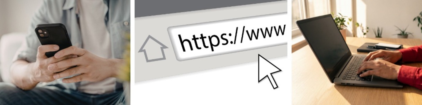 Wokingham Borough Council website