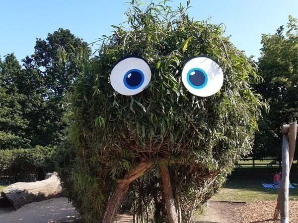 The willow caterpillar at Dinton Pastures Country Park with googley eyes