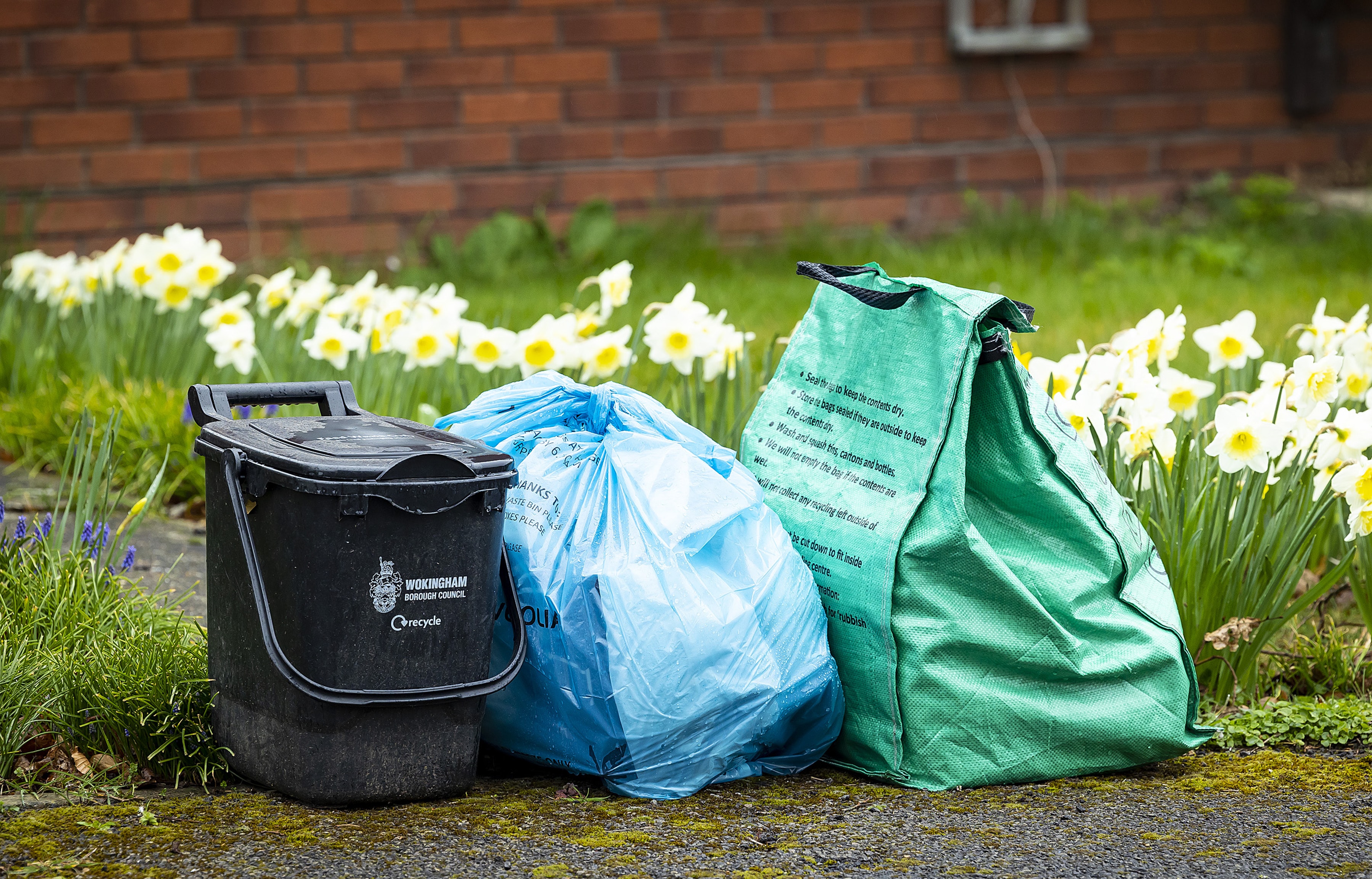 A black food waste bin, a blue general rubbish bag and a green recycling bag at the kerbside